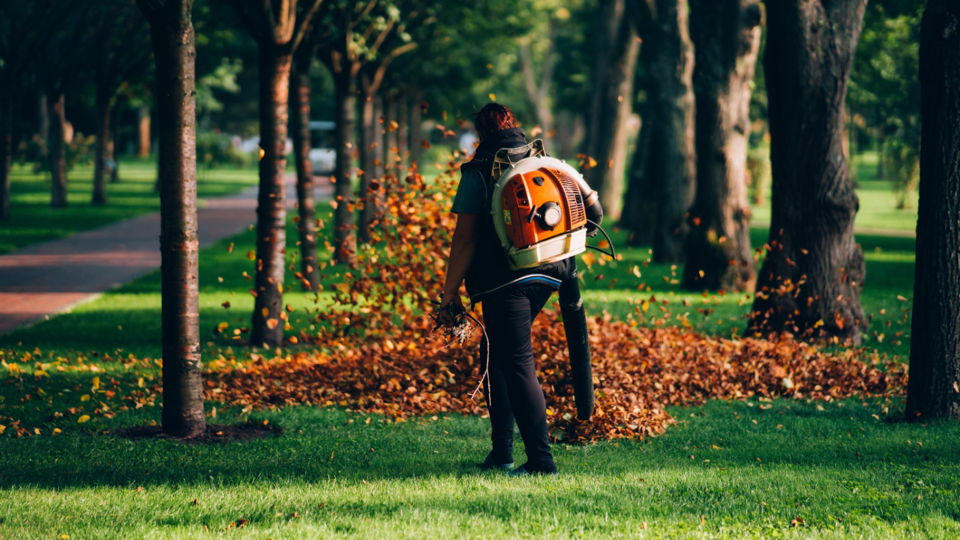 Gardener using a leaf blower in a public park.