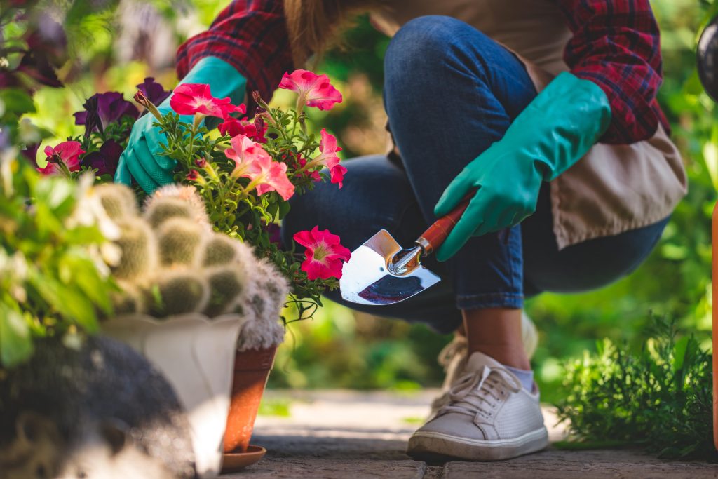 Woman inspecting her garden plants while holding a shovel.