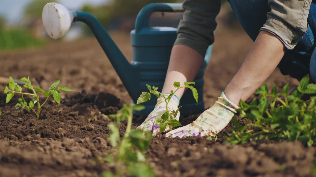 Person working on garden soil.