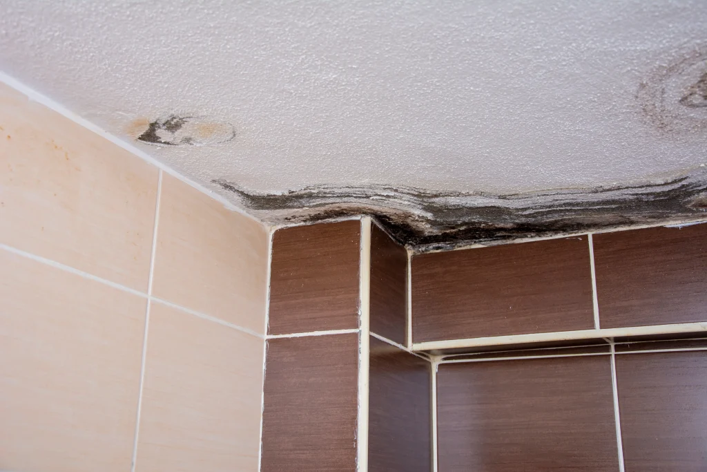 Mold on bathroom ceiling.