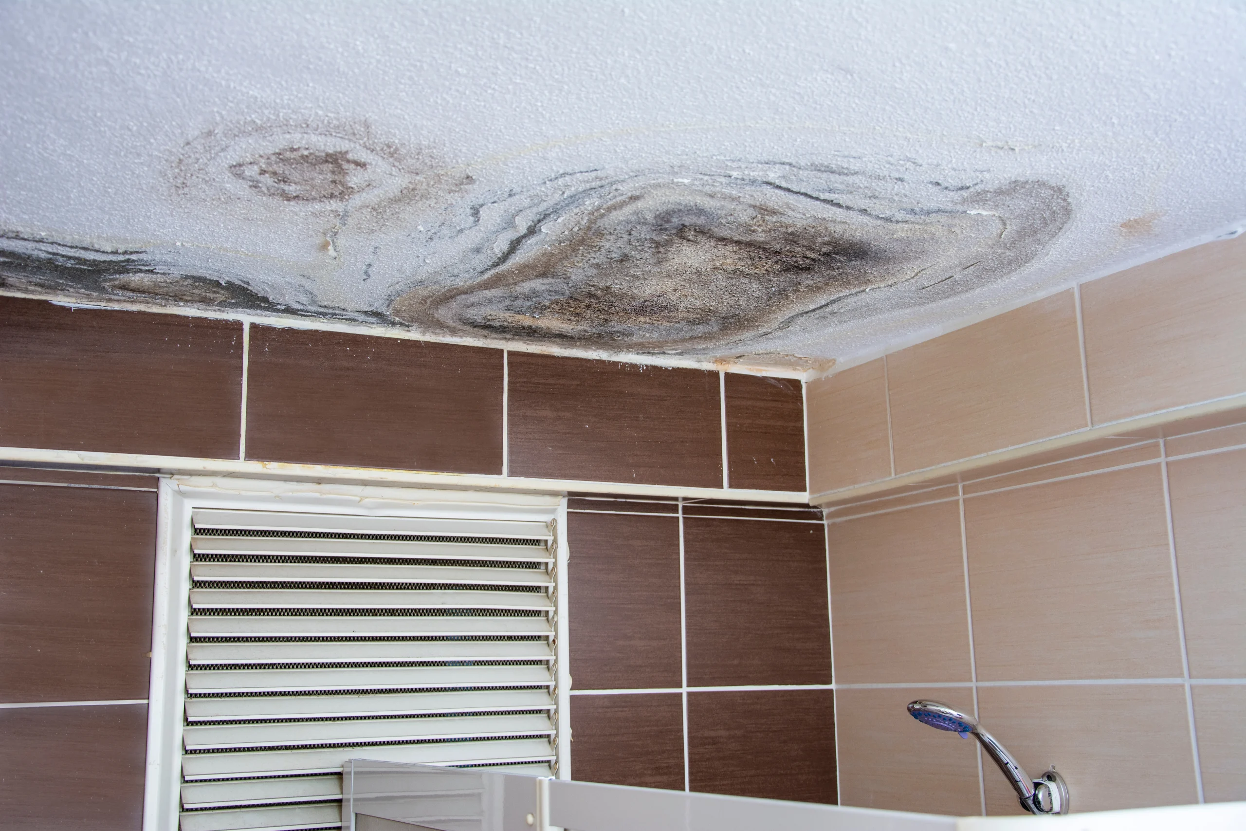 Mold growing on bathroom ceiling.