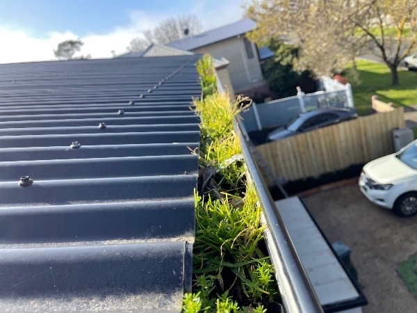 Flat Roofs in Melbourne - Professional Pressure Washing by Zintra Group