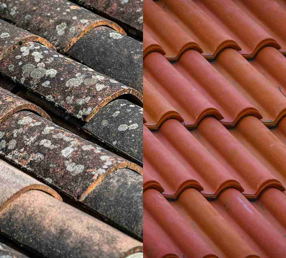 Roof Cleaning Melbourne - Close-Up of Moss and Dirt Before Cleaning