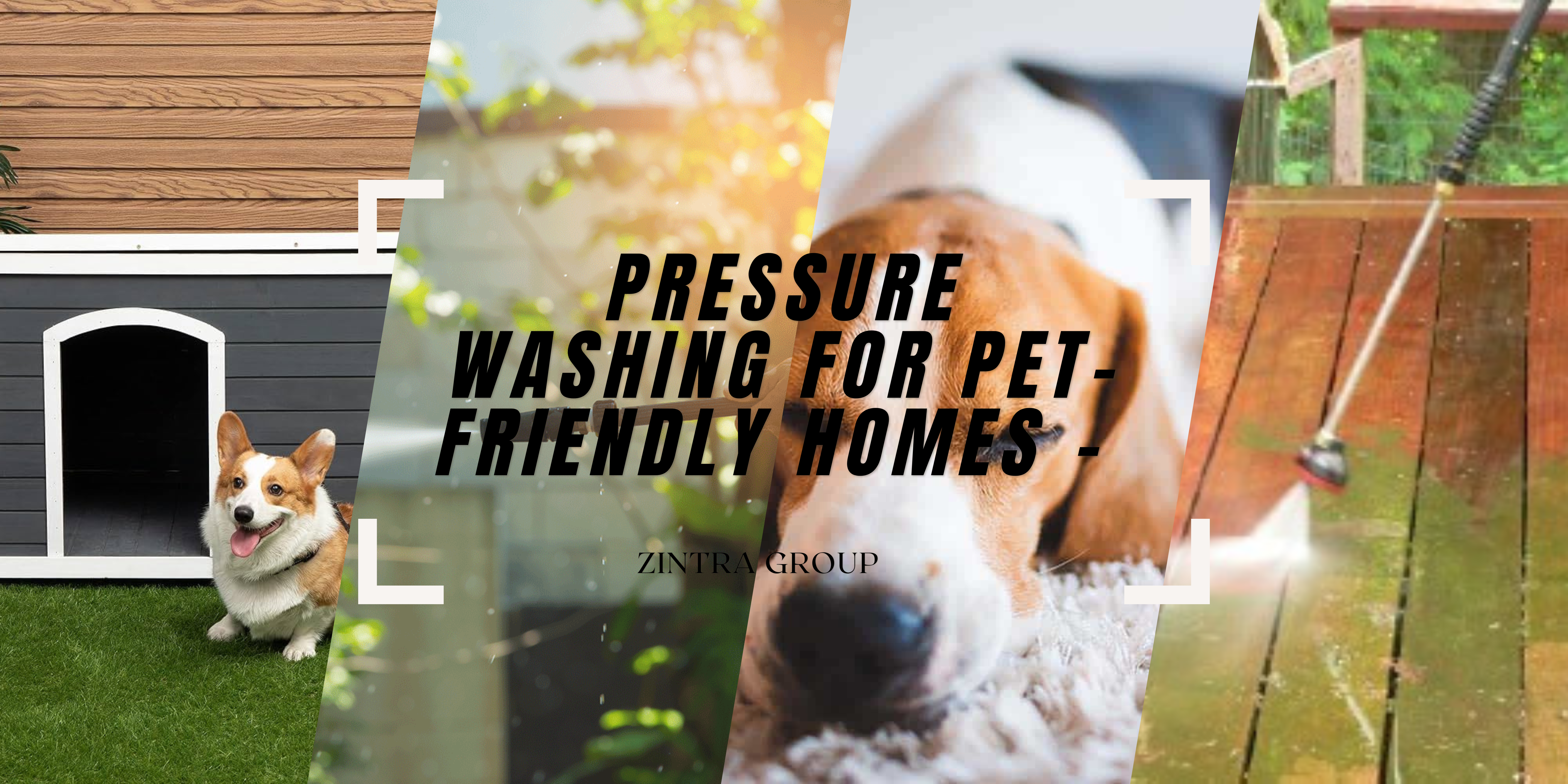 Pressure Washing for Pet-Friendly Homes: Keeping Outdoor Spaces Clean and Healthy