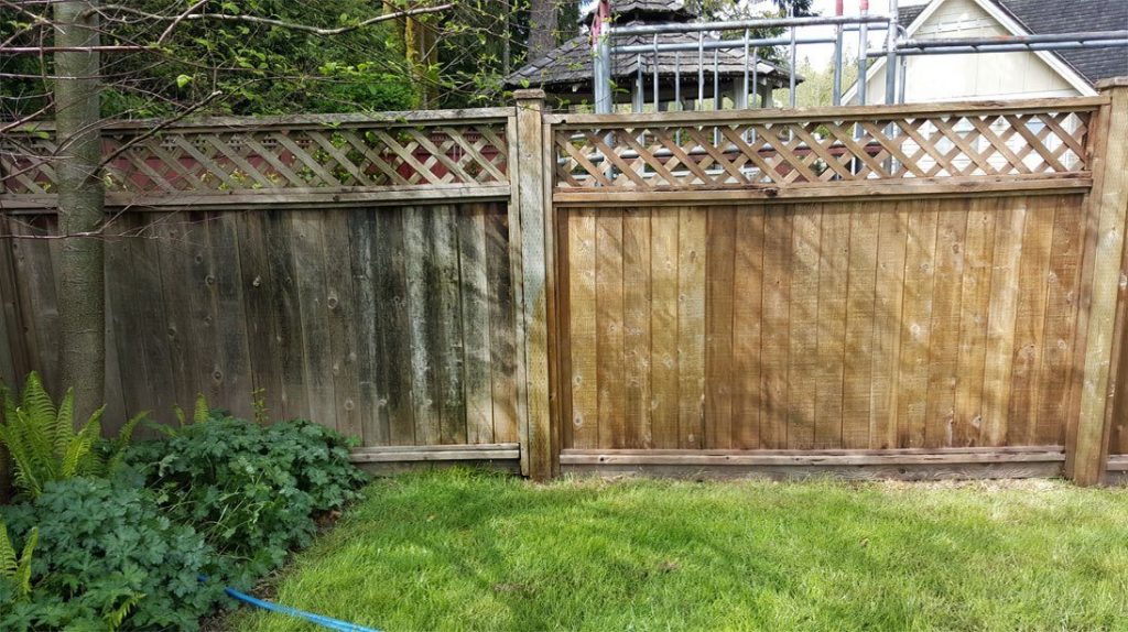 Wooden fence showing a dramatic before-and-after result of professional fence cleaning services in Melbourne.