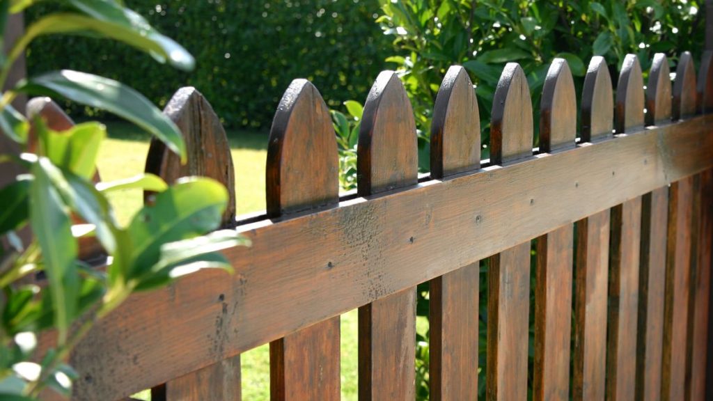 clean, polished wooden fence surrounded by greenery, showcasing the results of professional fence cleaning services in Melbourne.